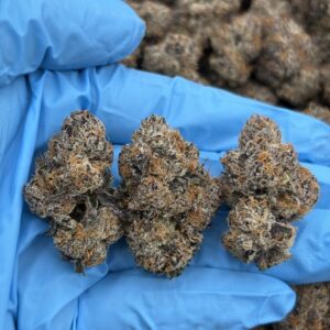 BUY SUGAR RUSH CANNABIS STRAIN/ UNBRANDED INDOOR ZAZA