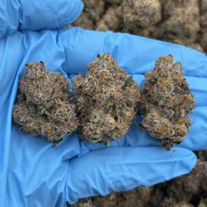 DISCOVER BUBBLEPOPZ WEED STRAIN/ UNBRANDED INDOOR ZAZA FLOWER