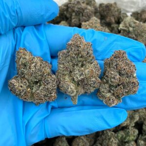 BUY HYPER SPACECATS WEED STRAIN / UNBRANDED INDOOR ZAZA