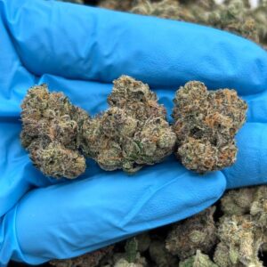 JELLONADE WEED STRAIN / UNBRANDED INDOOR ZAZA