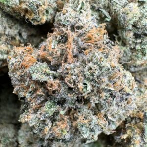 PEACH COBBLER 🍑/UNBRANDED INDOOR EXOTIC 🍁