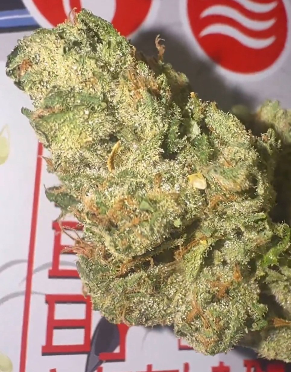 Shop Fish Bone by THE TENCO Online - premium exotic cannabis strain - Image 2