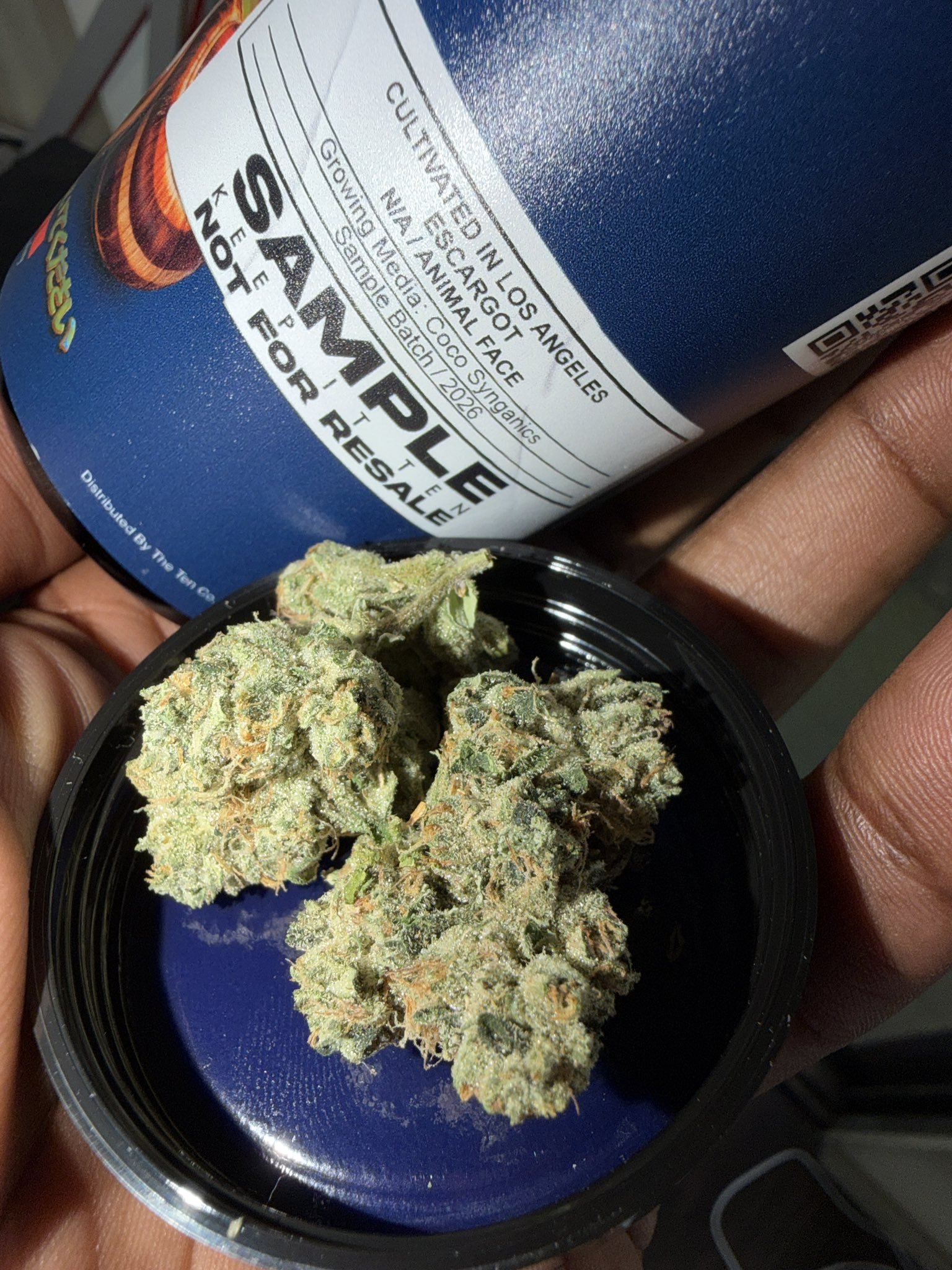 Close-up of cannabis buds in a black container with a blue can visible in the background.