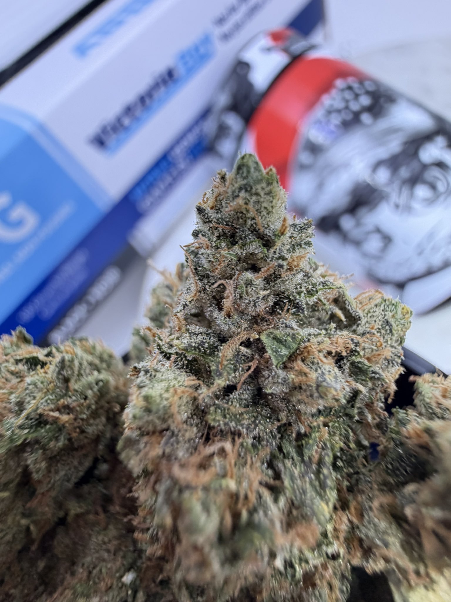 BLUE ZUSHI (Zalympix2026) – Premium Indica-Dominant Hybrid Cannabis Strain for Sale Online - Image 2