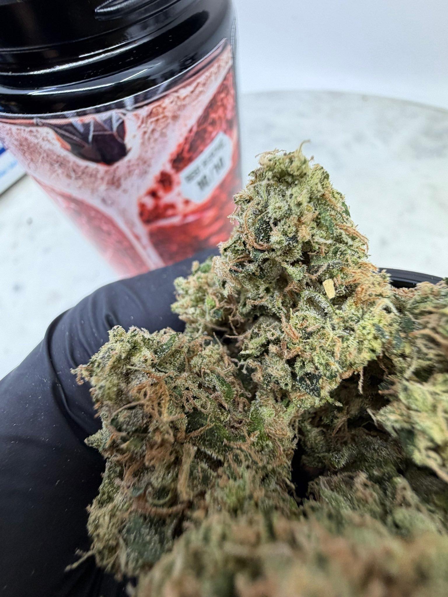 Hand holding dense T-BONE cannabis buds by THE TENCO with frosty trichomes and premium quality