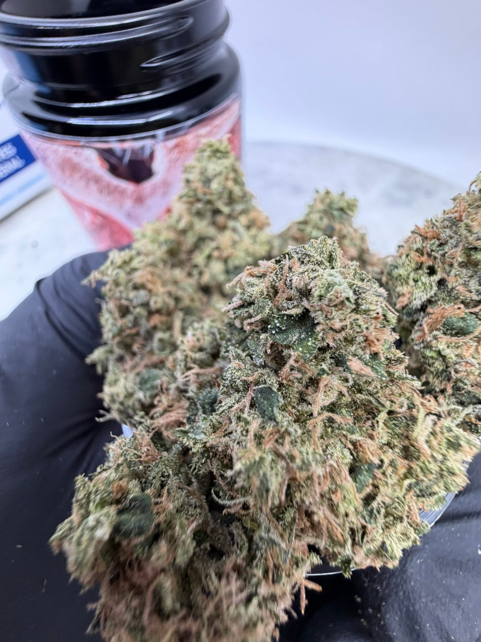 Frosty T-BONE cannabis buds by THE TENCO showing dense trichomes and gassy hybrid quality